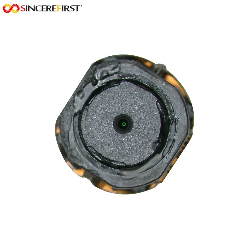 OEM 1080P 30FPS Intgrated Endoscope Camera Module best